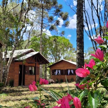 Cabanas Dos Pinheiros São Francisco de Paula Екстериор снимка