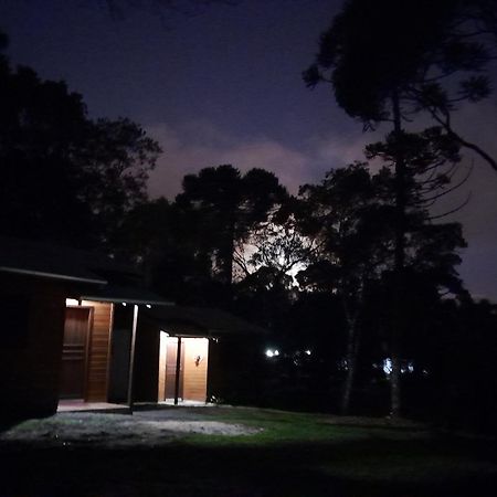 Cabanas Dos Pinheiros São Francisco de Paula Стая снимка