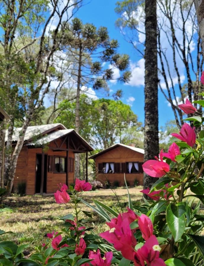 Cabanas Dos Pinheiros São Francisco de Paula Екстериор снимка
