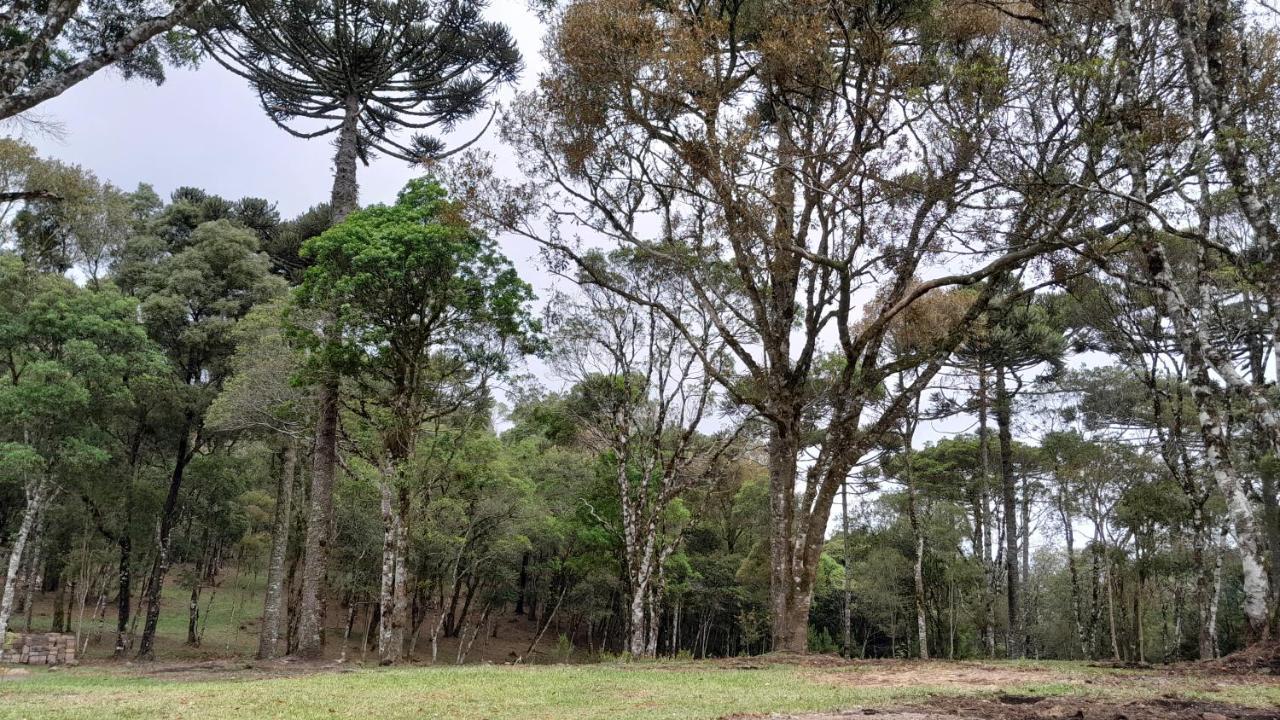 Cabanas Dos Pinheiros São Francisco de Paula Екстериор снимка