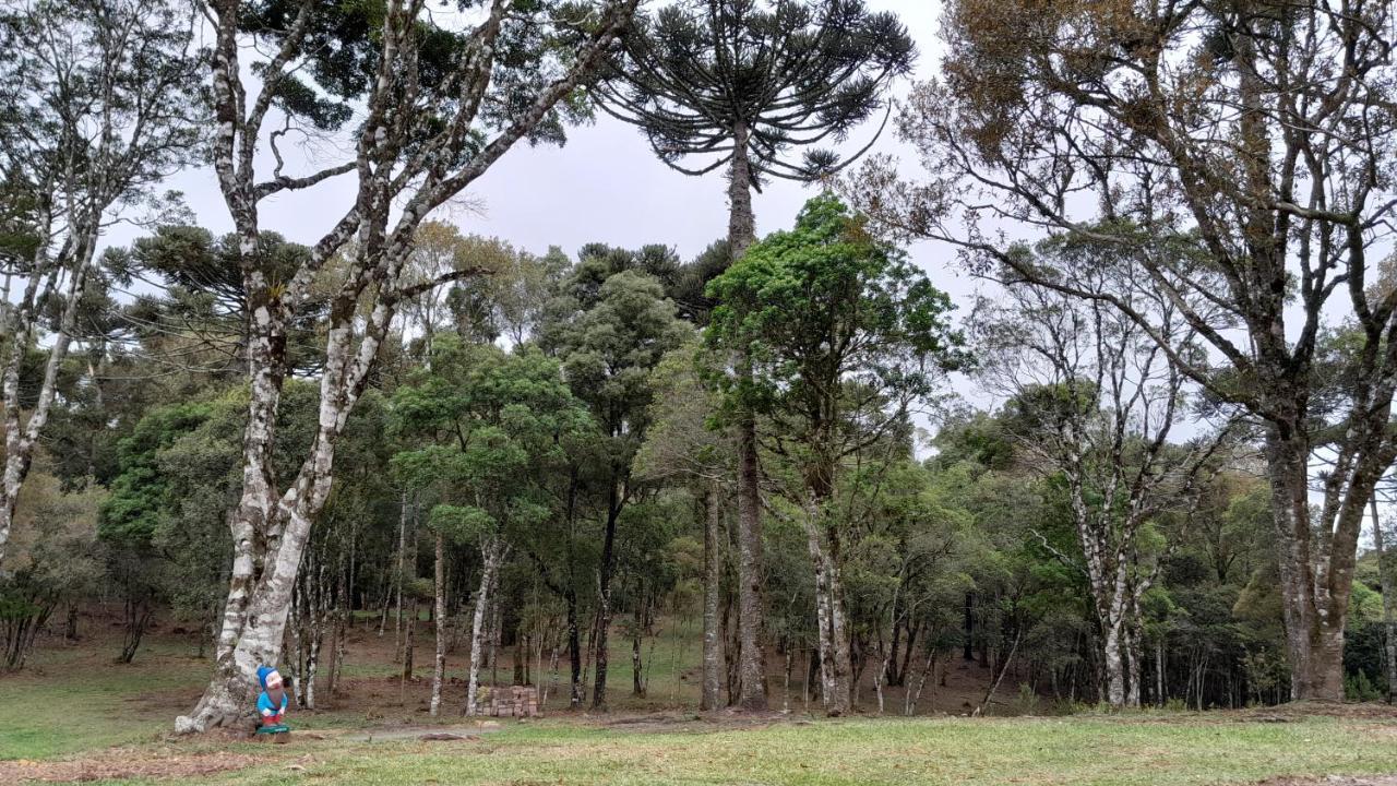 Cabanas Dos Pinheiros São Francisco de Paula Екстериор снимка