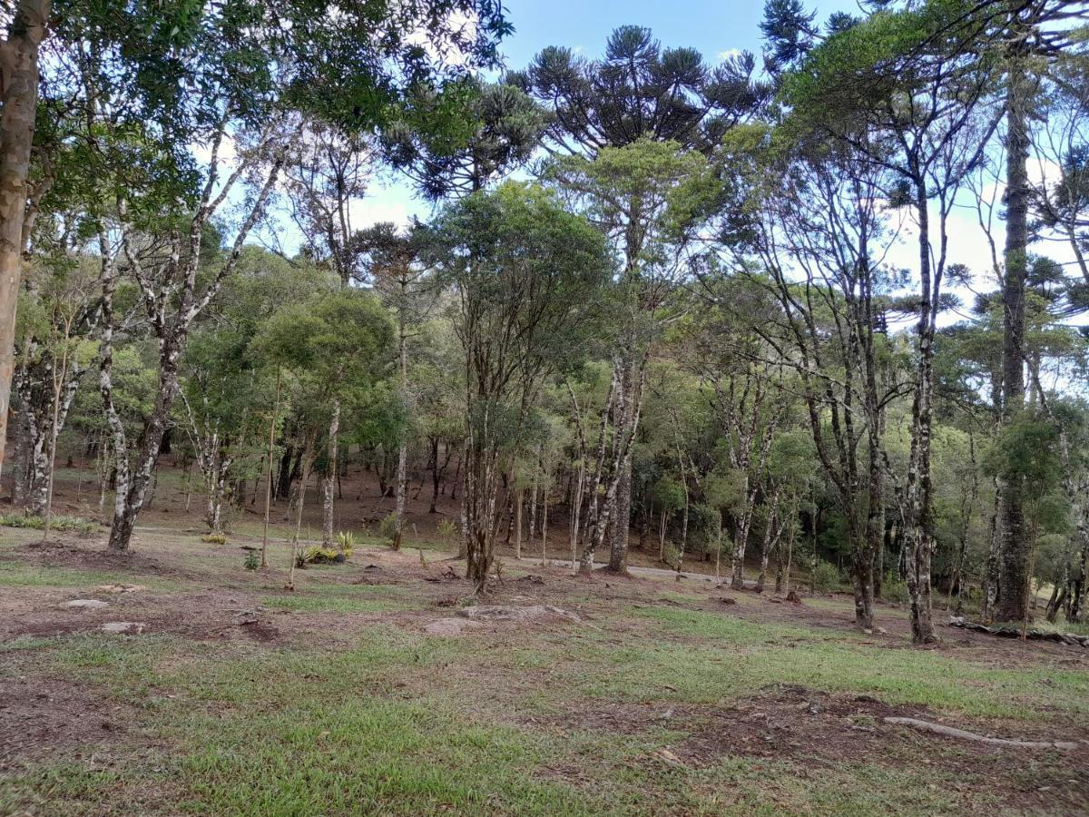 Cabanas Dos Pinheiros São Francisco de Paula Екстериор снимка