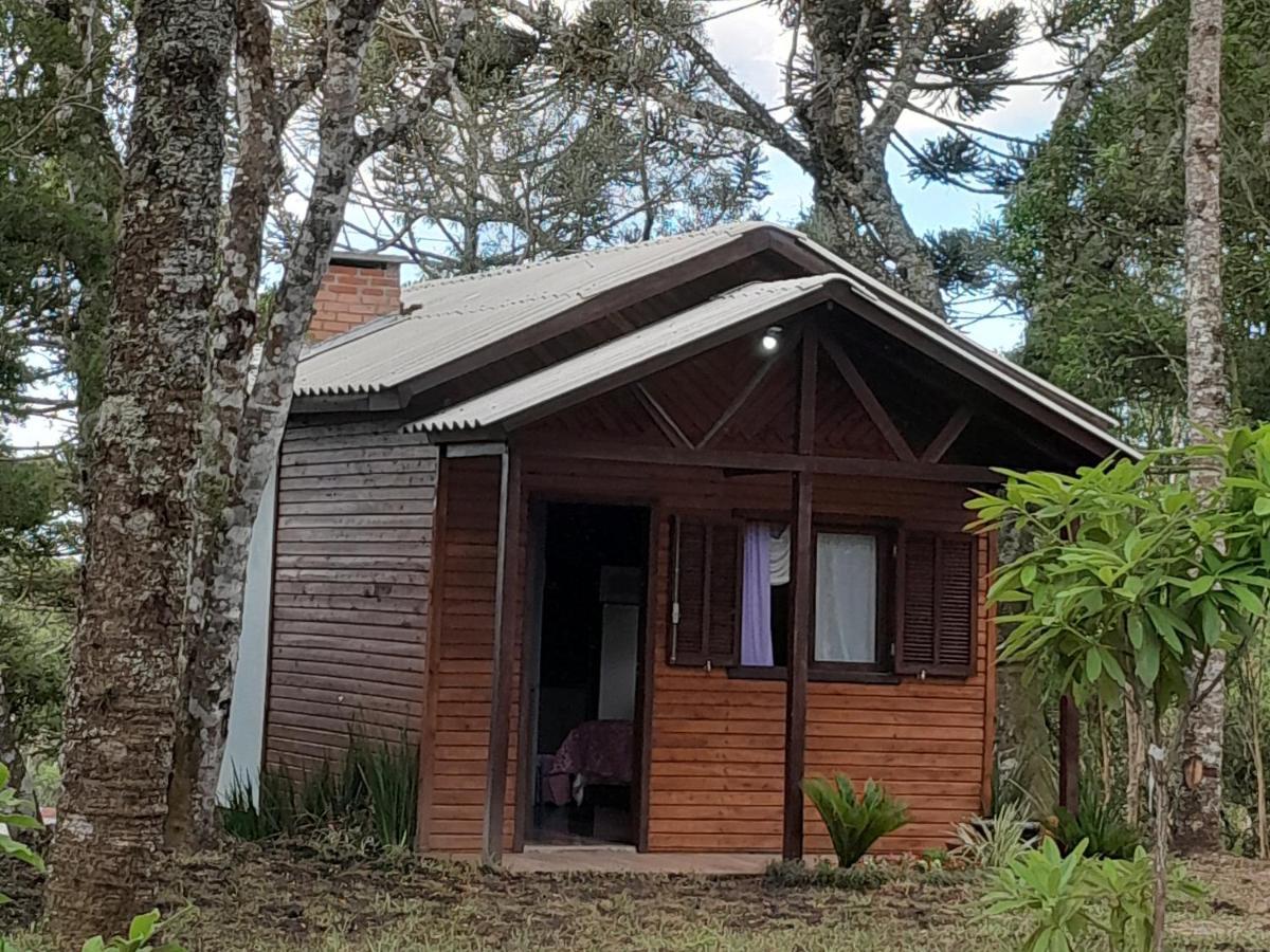 Cabanas Dos Pinheiros São Francisco de Paula Екстериор снимка