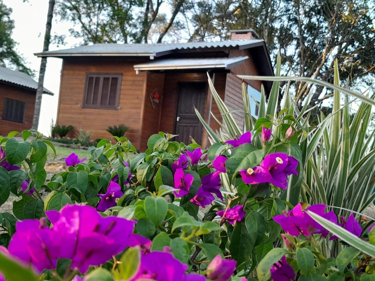 Cabanas Dos Pinheiros São Francisco de Paula Екстериор снимка