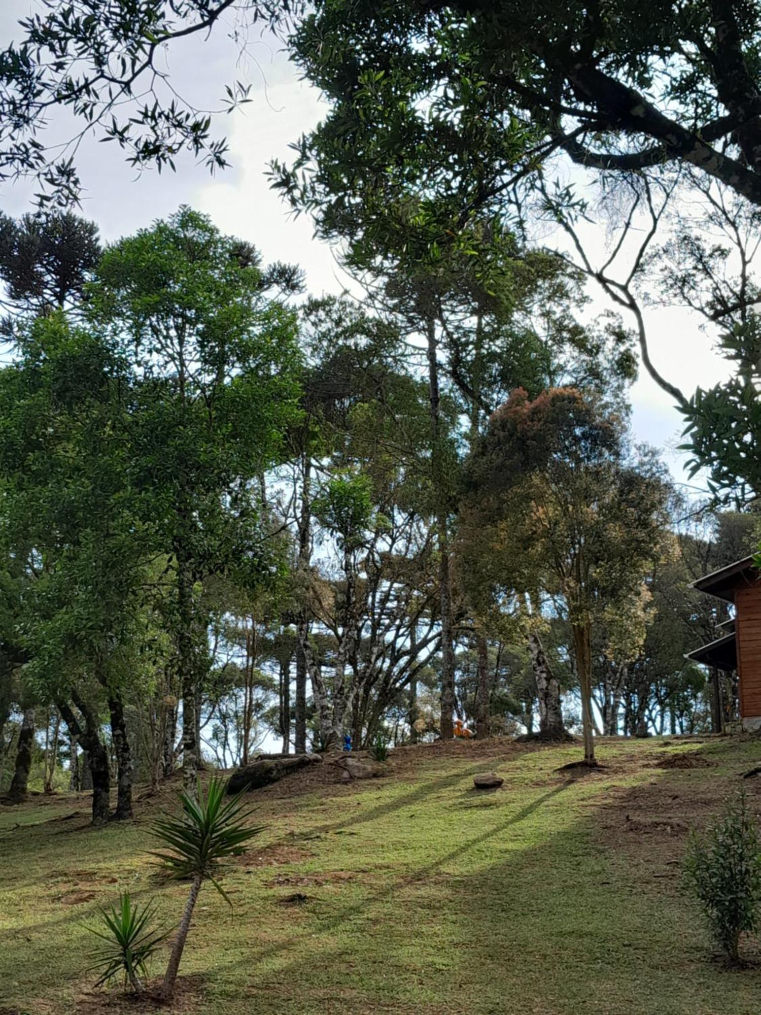 Cabanas Dos Pinheiros São Francisco de Paula Стая снимка