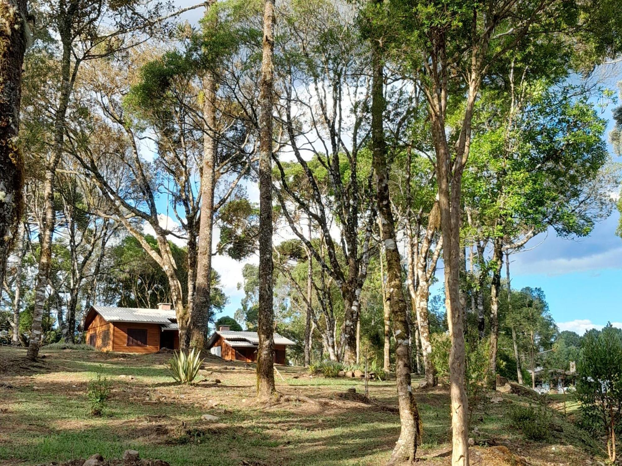 Cabanas Dos Pinheiros São Francisco de Paula Стая снимка