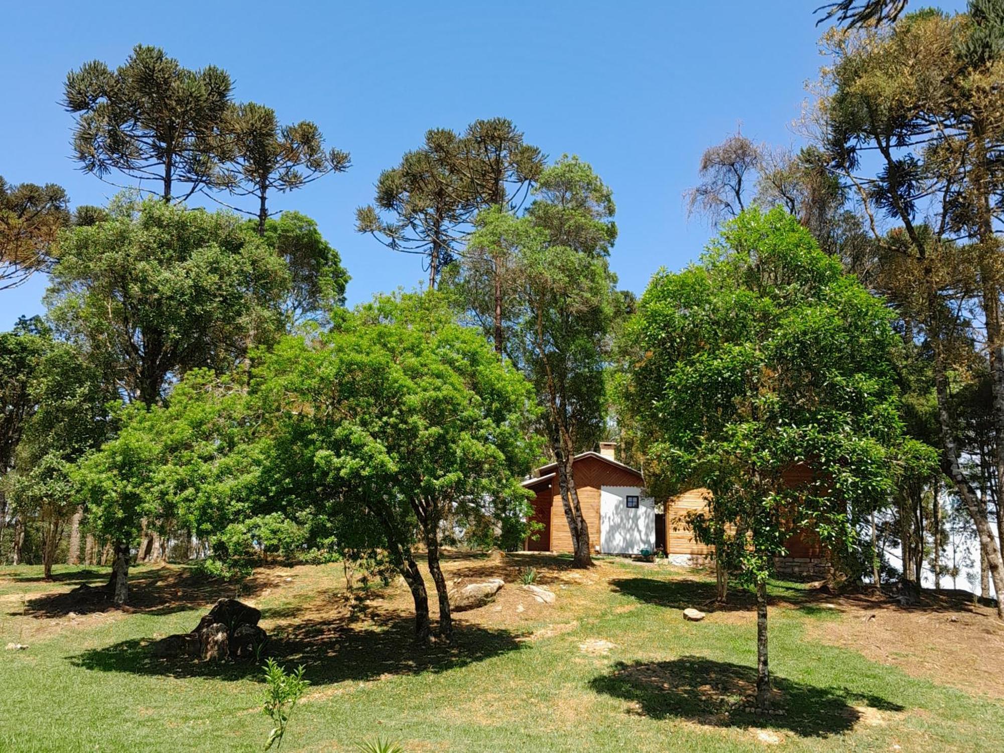 Cabanas Dos Pinheiros São Francisco de Paula Стая снимка