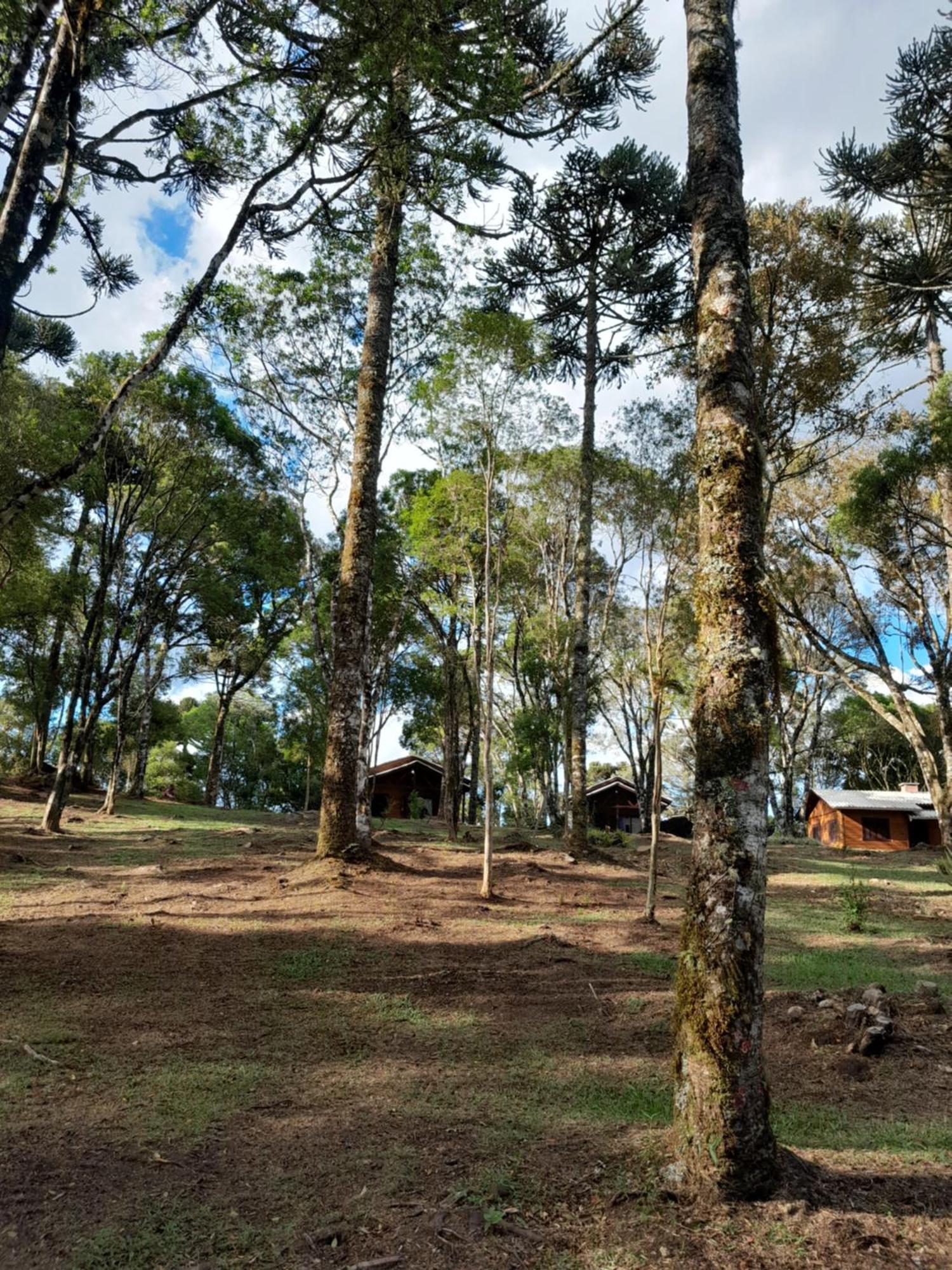 Cabanas Dos Pinheiros São Francisco de Paula Стая снимка
