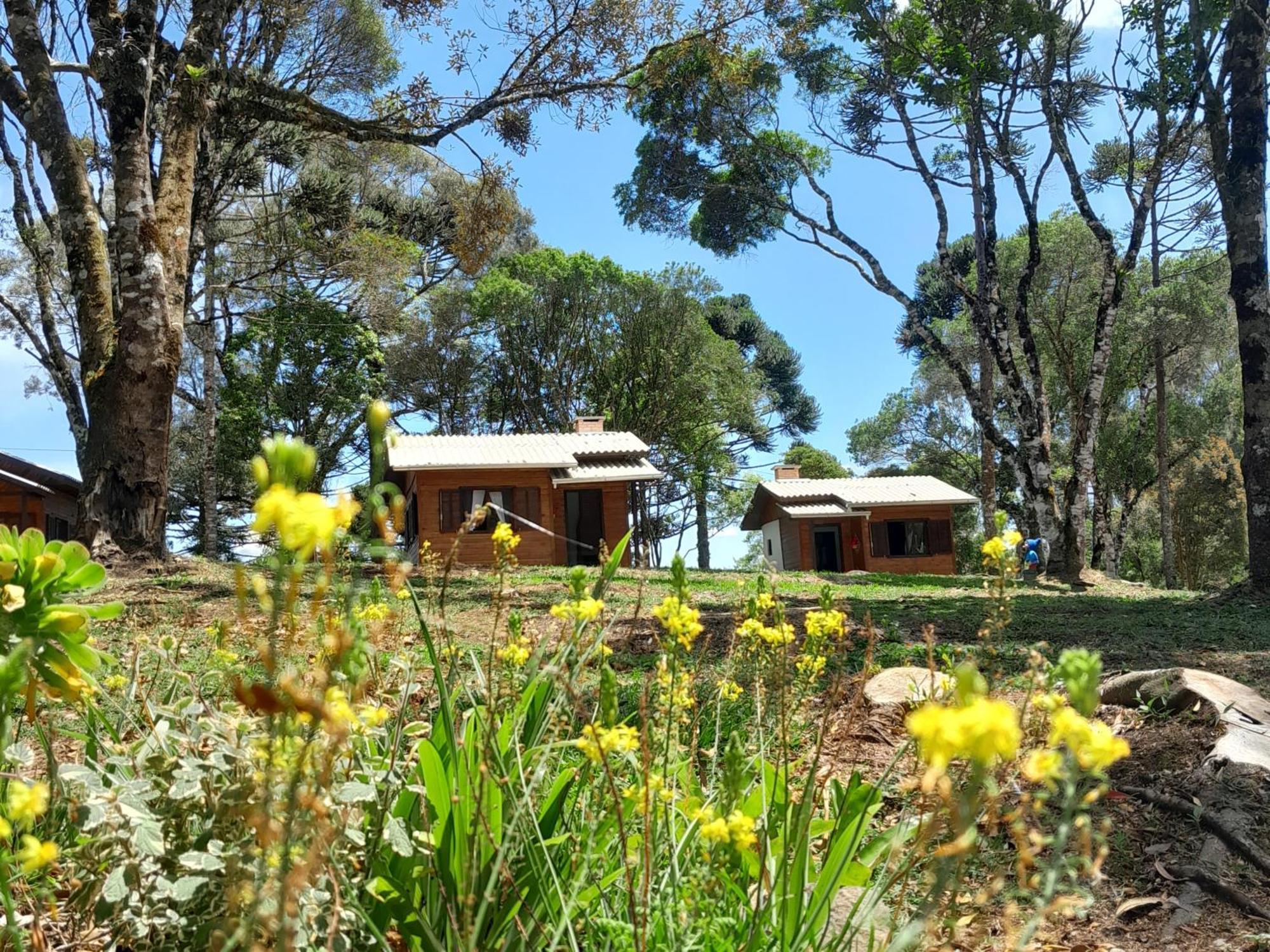 Cabanas Dos Pinheiros São Francisco de Paula Стая снимка