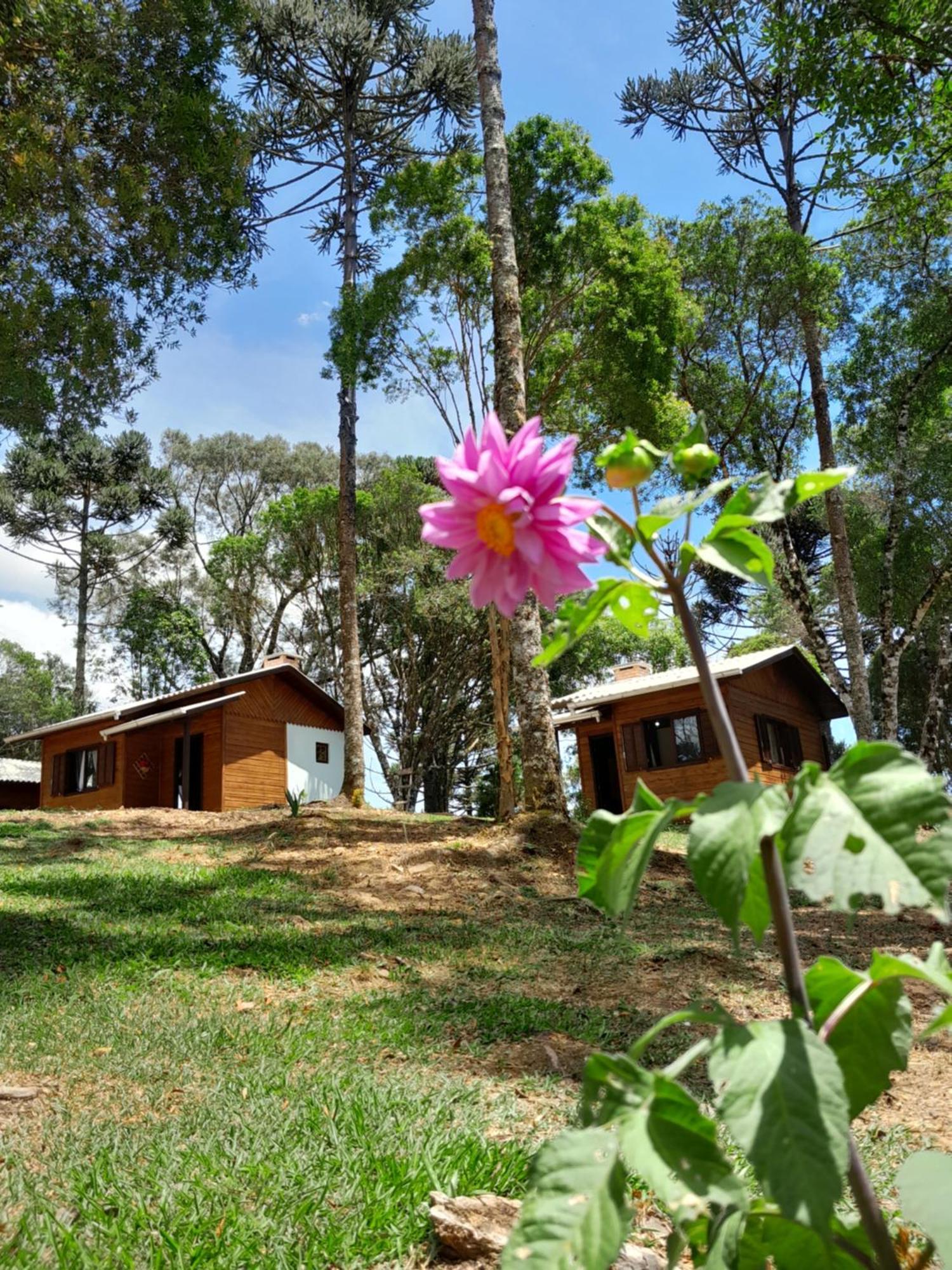 Cabanas Dos Pinheiros São Francisco de Paula Стая снимка